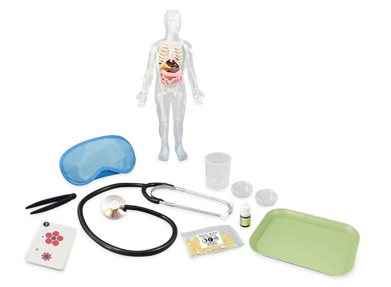 Buki 2163 Der menschliche Körper Anatomie-Set mit Stethoskop
