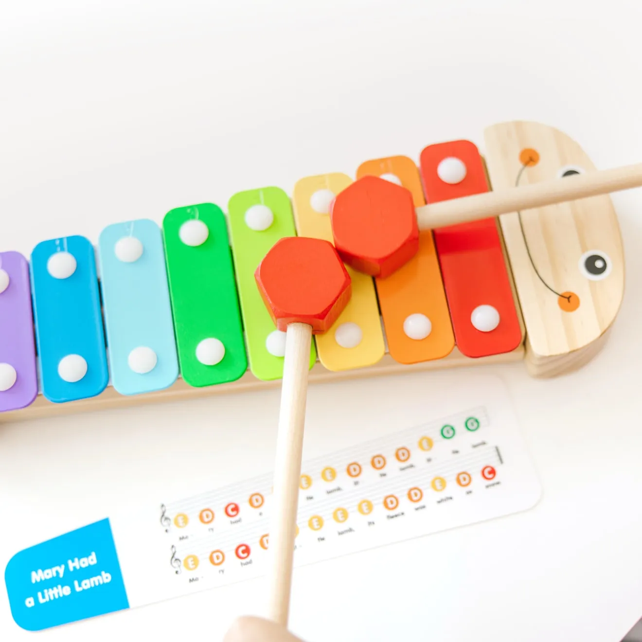 Melissa & Doug Raupe Xylophon Holz ab 3 Jahren
