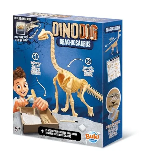 Buki Brachiosaurus Dino zum Ausgraben mit Mosasauruszahn