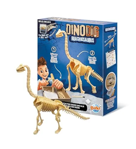 Buki Brachiosaurus Dino zum Ausgraben mit Mosasauruszahn