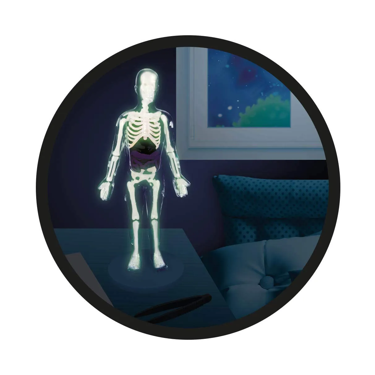 Buki 2163 Der menschliche Körper Anatomie-Set mit Stethoskop